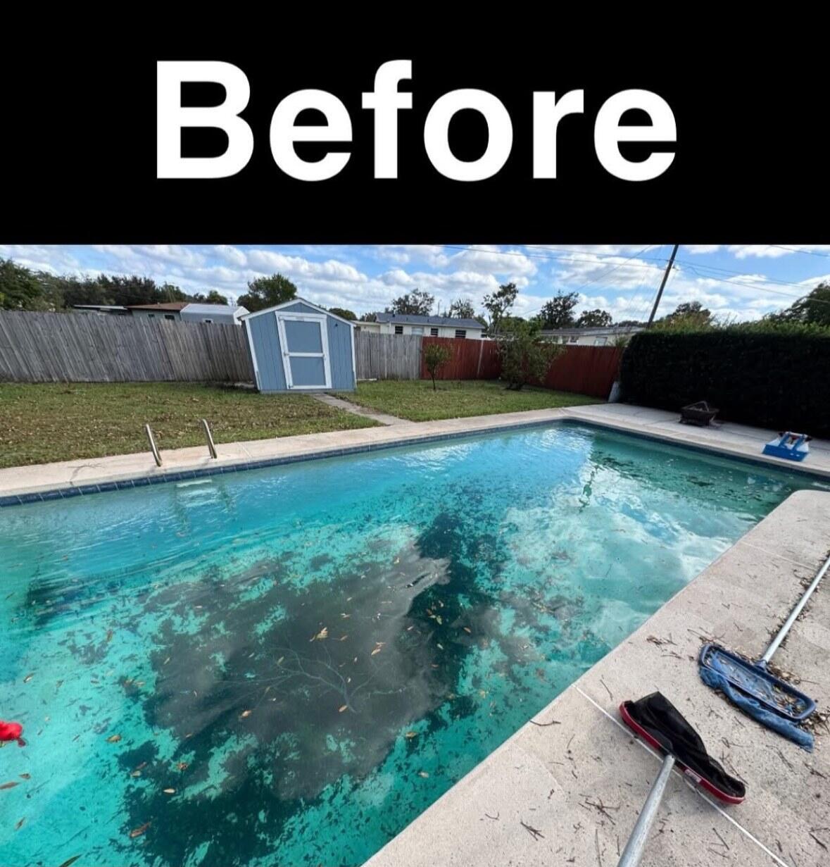 Green pool in East Orlando before Elemental Pools cleaned it